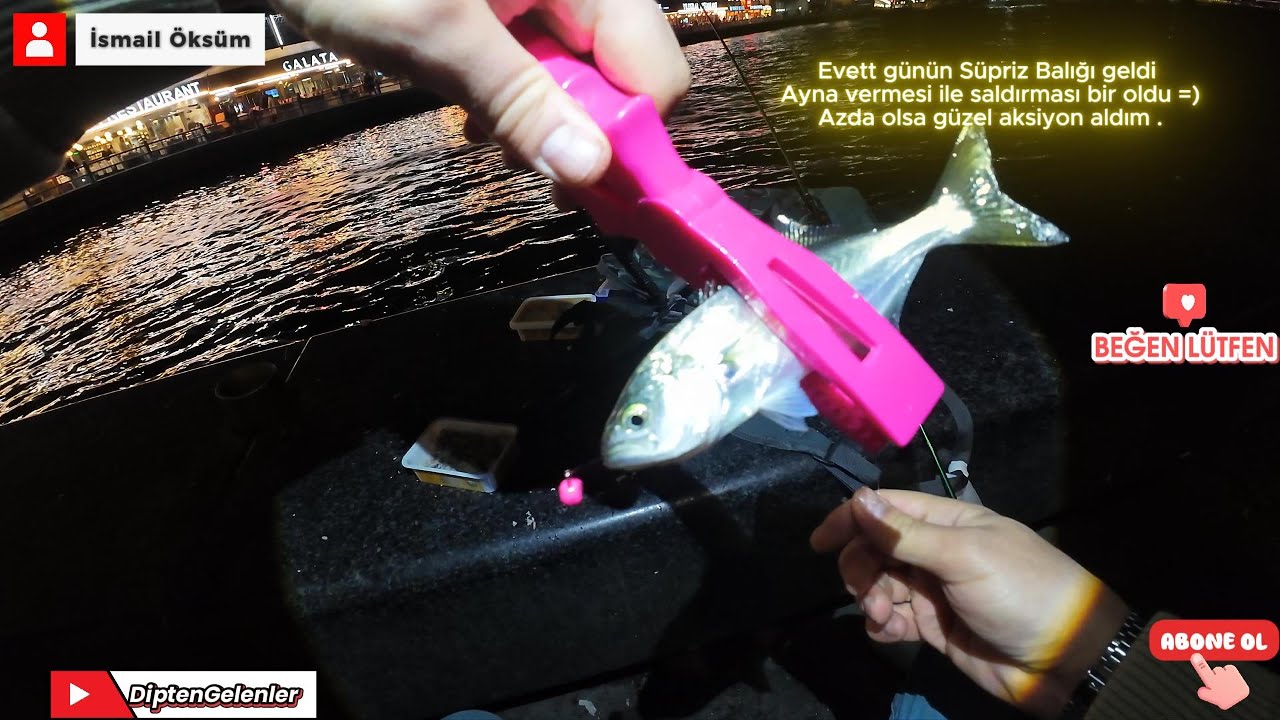 Eminönü Lrf ile Balık avı Çinekop İzmarit İstarvit #fishing #çinekop #izmarit #istarvit 10.01.2026