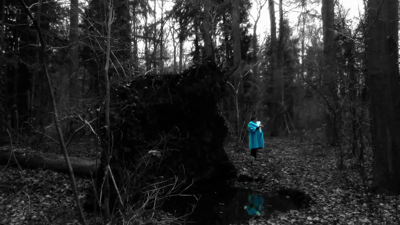 Trixcis &ndash; On Our Own in the Forest &ndash; Beautiful, Dramatic, and Emotional Instrumental Music