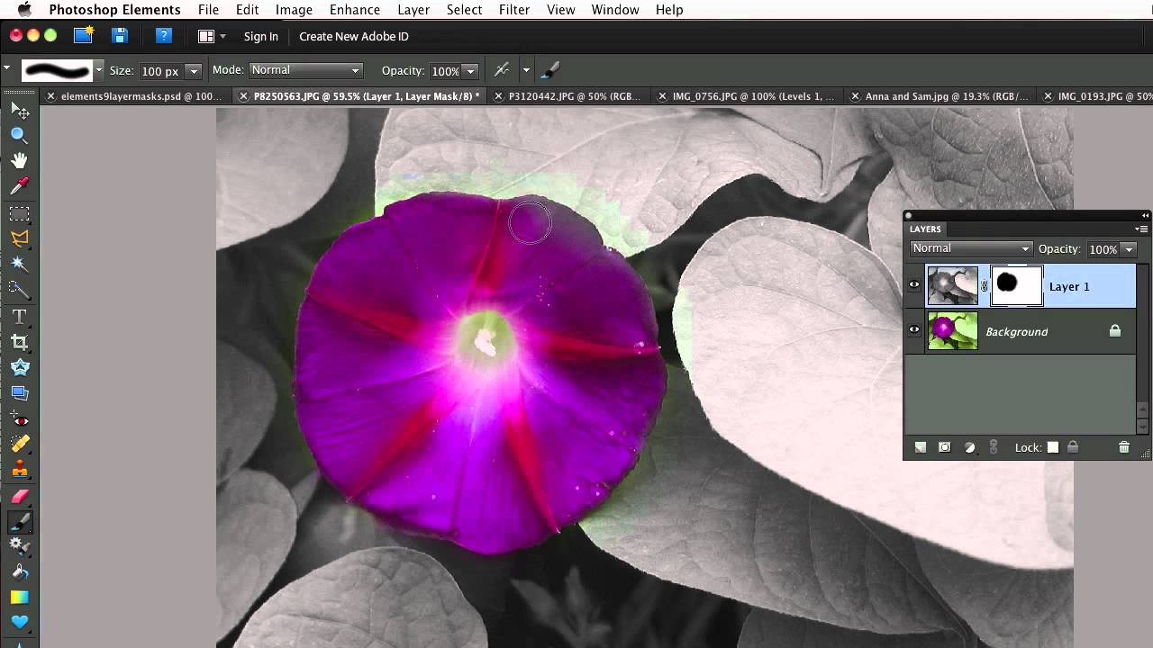 Photoshop Elements 9-Newest Features