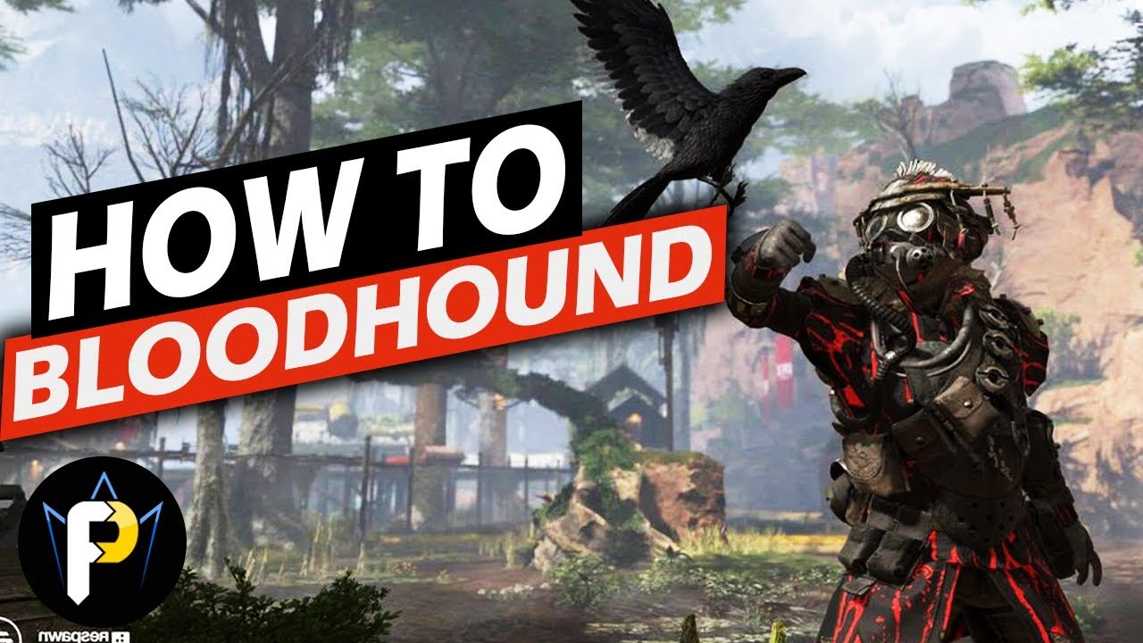 How to BLOODHOUND! | Apex Legends Character Guide