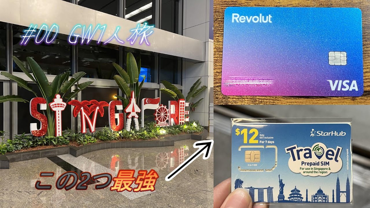 【シンガポール1人旅🇸🇬】#00 移動編✈️