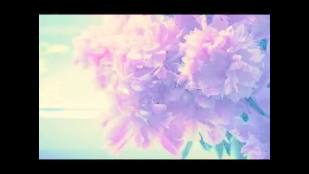 Stefan KC - Peonies