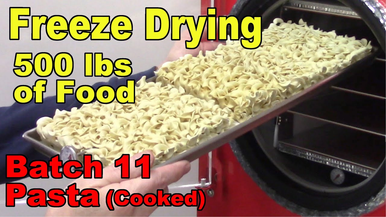 Freeze Drying Your First 500 lbs of Food - Batch 11 - Pasta, Cooked