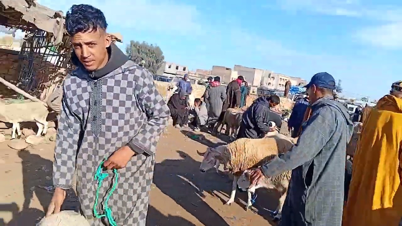 ألله على سوق الأسبوعي بني عامر إقليم قلعة السراغنة بتاريخ 26|02|2026\0658373050