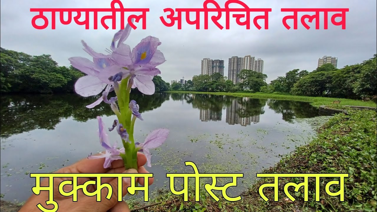 माझा तलाव|The city of lake (Thane)|तलावांचे शहर ठाणे|Lakes of Thane|ठाण्यातील तलाव|पाण्याचे स्ञोत