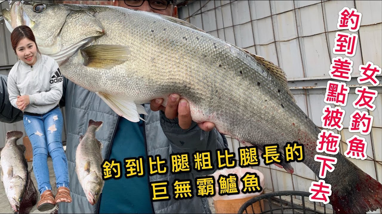 【 逆刃海釣場Ep15】女友釣魚釣到差點被拖走‼️釣到比腿粗又長的巨無霸鱸魚 還連釣2尾 八里環球海釣場