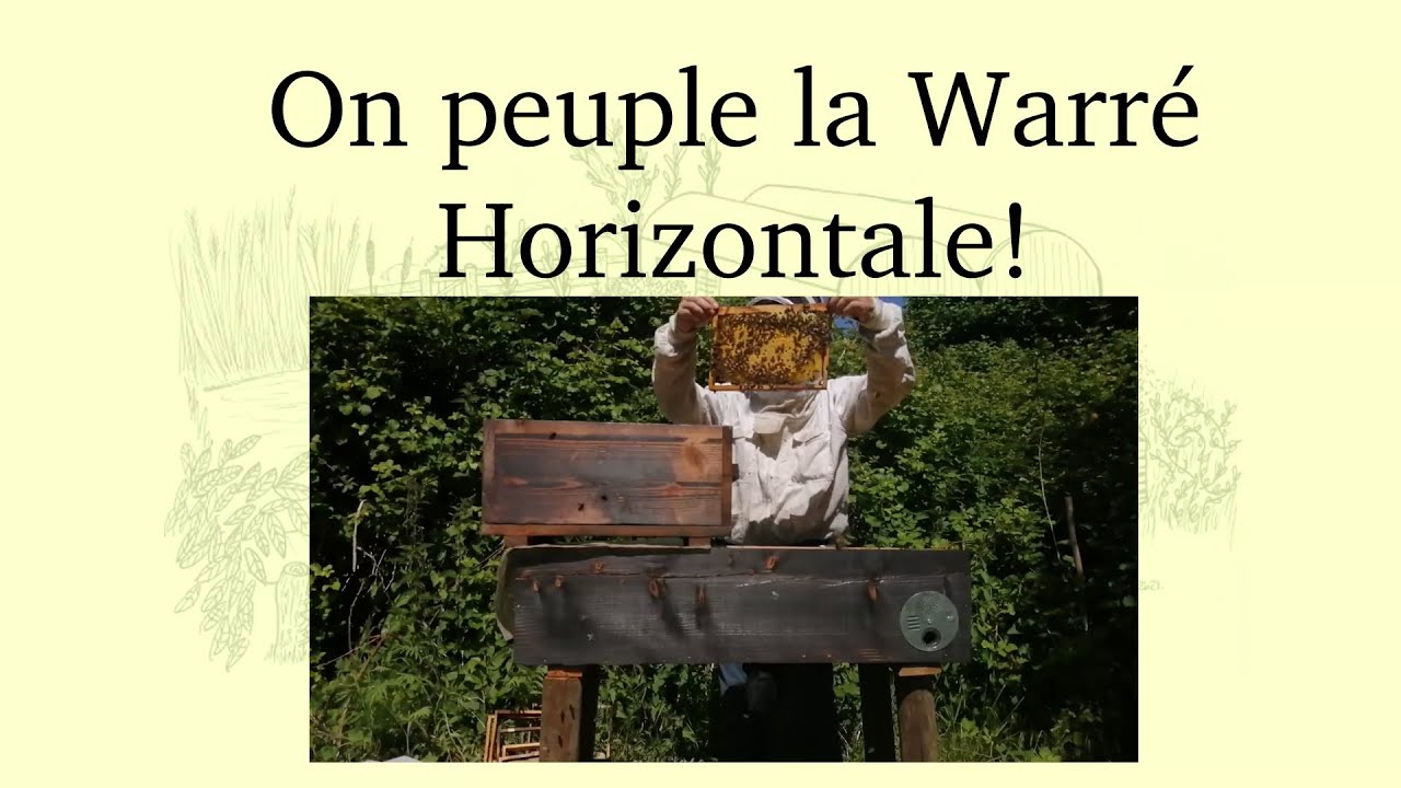 On peuple la Warré horizontale!