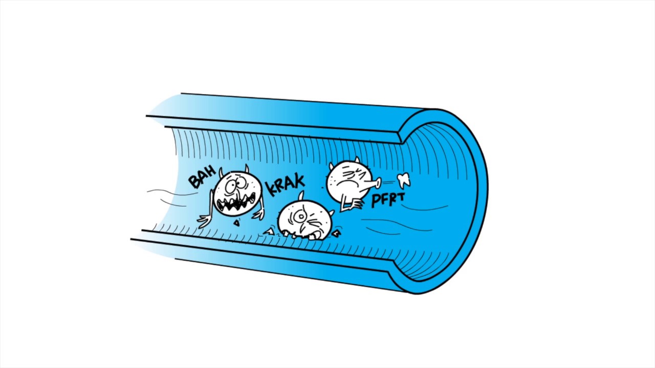 Stamicarbon's ADVANCE INSPECT™ program