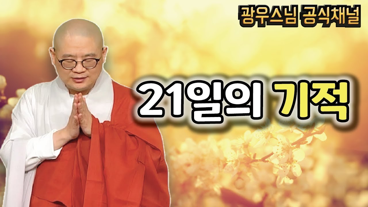 비구니 스님이 법화경을 기도하니 벌어지는 일 | 광우스님 소나무법문 시즌3 #125