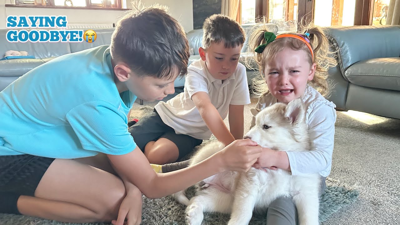 Saying Goodbye To Daisy! The Whole Family Saying Goodbye To The First Born Puppy Daisy!😭.