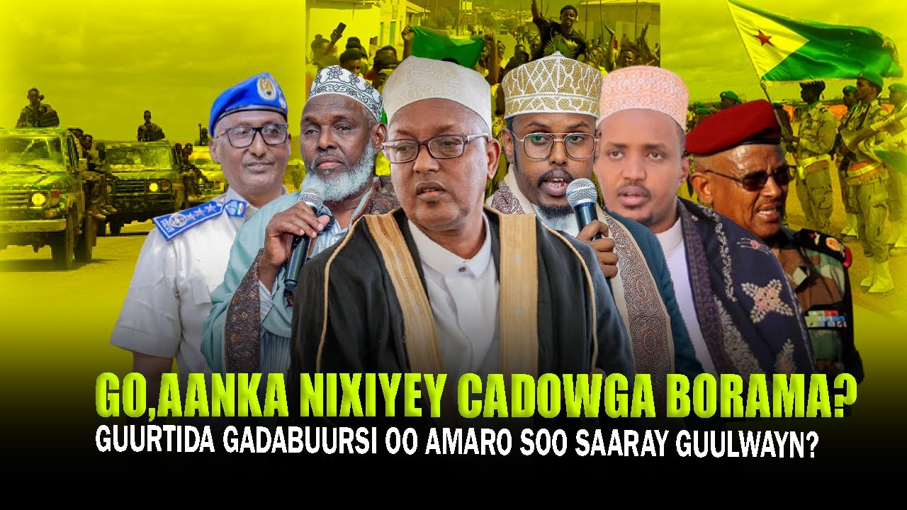Xog Go.aanka ka Nixisay Cadowga SL Guurtida Borama oo Amaro Culus So saaray? 2 TALAABO Lama filaana?