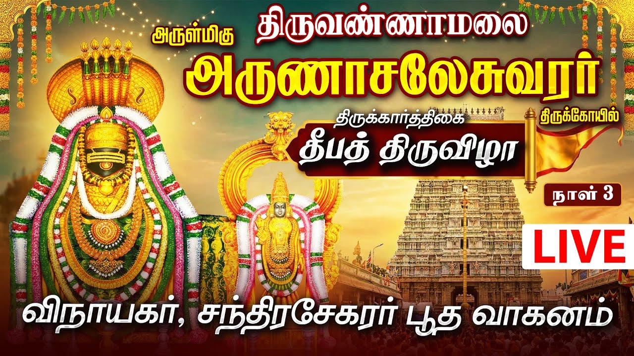 🔴Live திருவண்ணாமலை அருள்மிகு அருணாசலேசுவரர் திருக்கோயில் கார்த்திகை தீபம் Tiruvannamalai Live Day 3