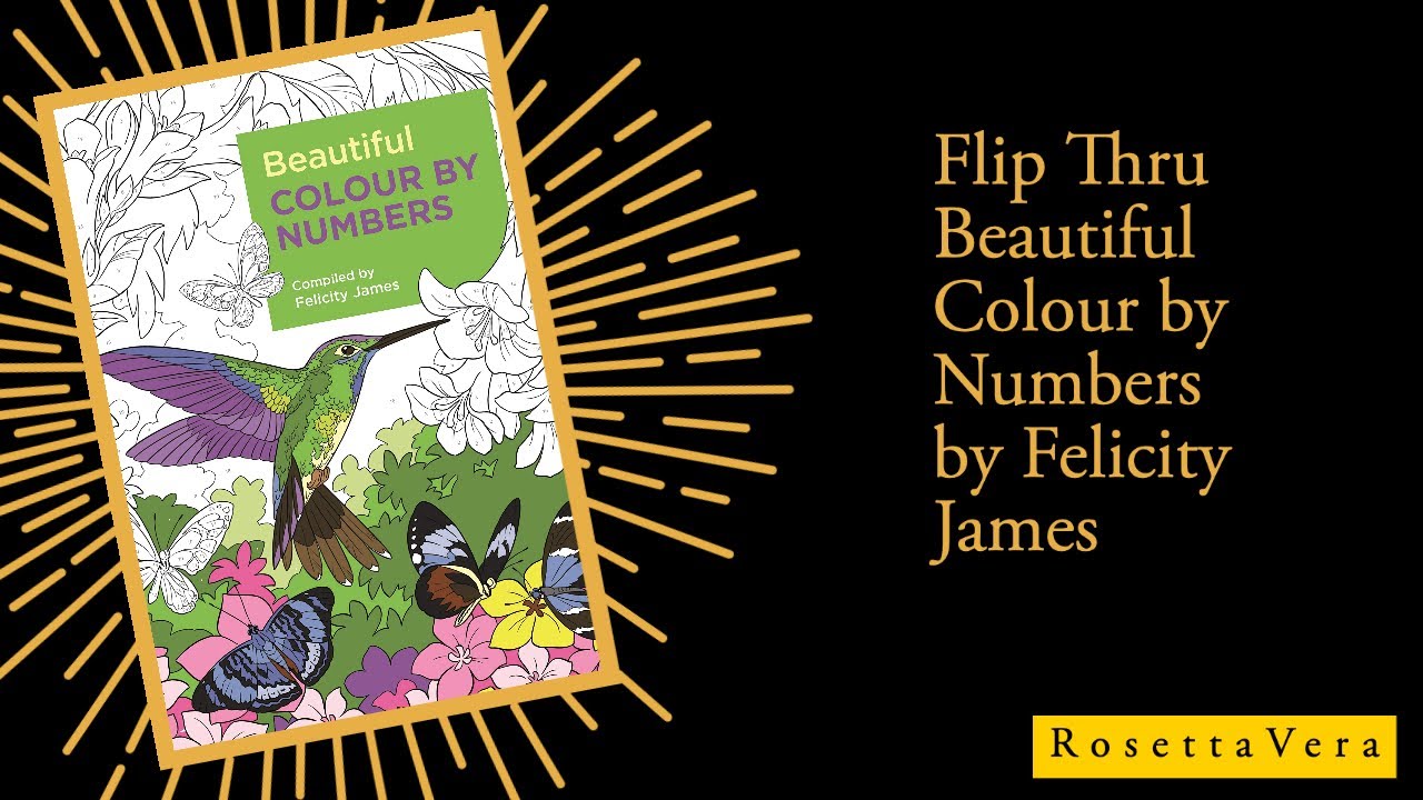 Flip Thru Beautiful Colour by Numbers by Felicity James