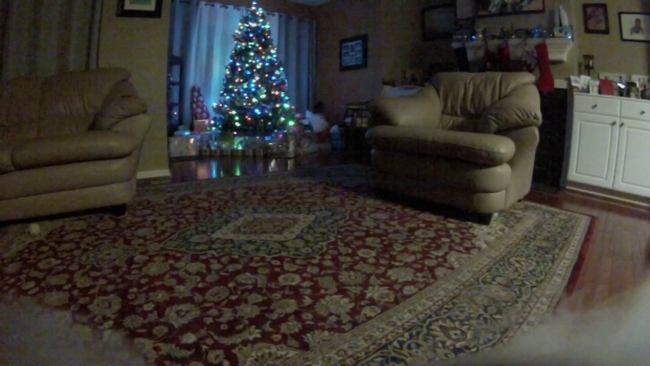 Hidden Camera Footage, Santa Caught in Ashburn Live Feed