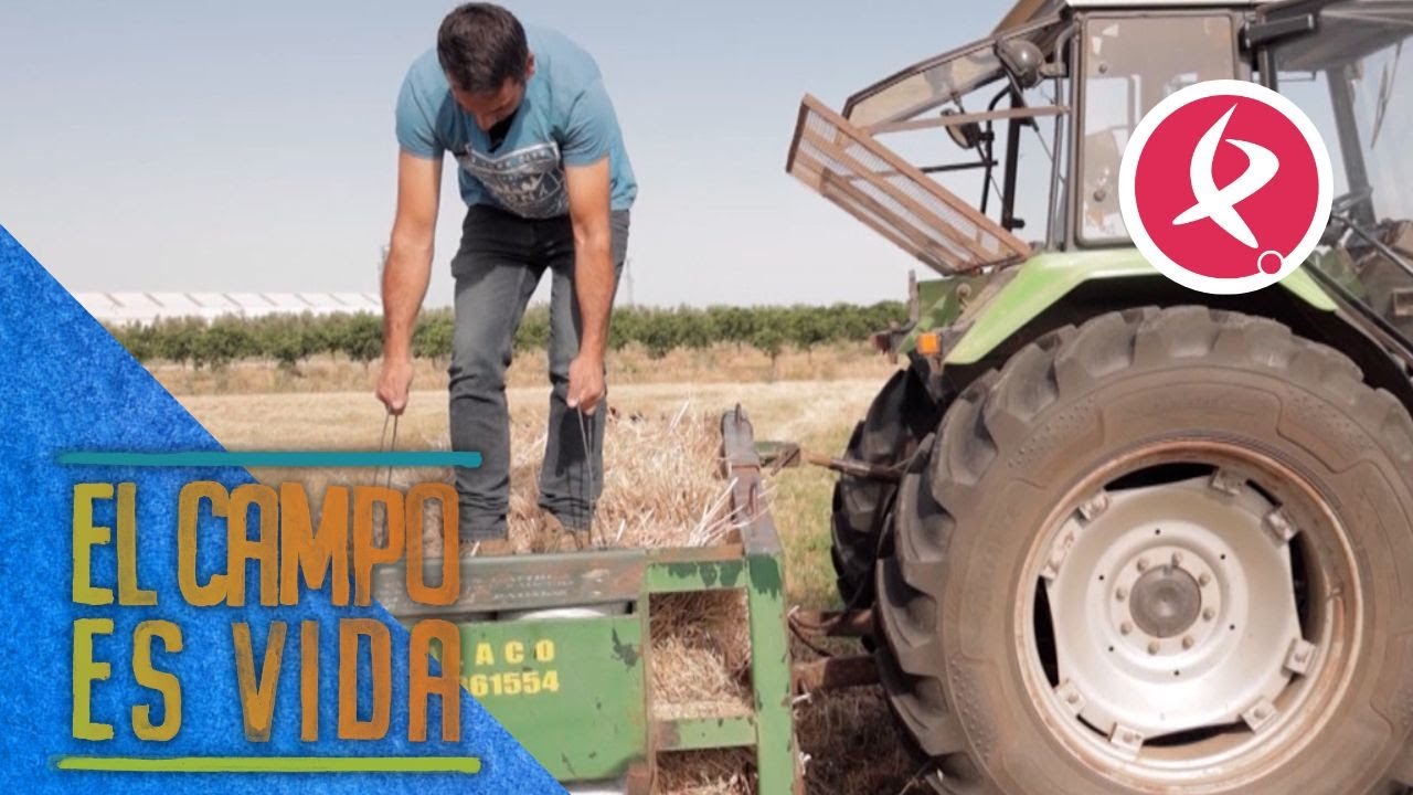 Así se hacen las alpacas de heno con una empacadora | El campo es vida