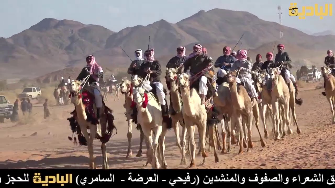 الهلاال _ عرض الهجن _ حفل زواج الشاب / ابراهيم عفنان الارينبي الحويطي  ١٦ / ٦ / ١٤٤٢_ أمدان _ الديسه