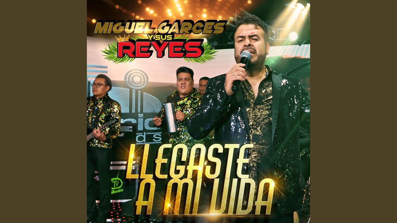 Llegaste A Mi Vida