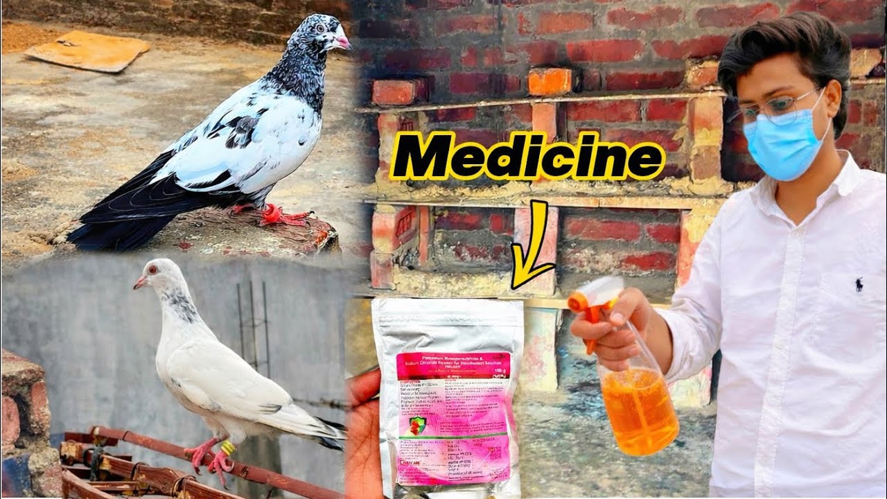 🏡LOFT Me 💊DAVA Mari इससे Sare 🦠￼Bacteria ￼खत्म Ho Jaengey 