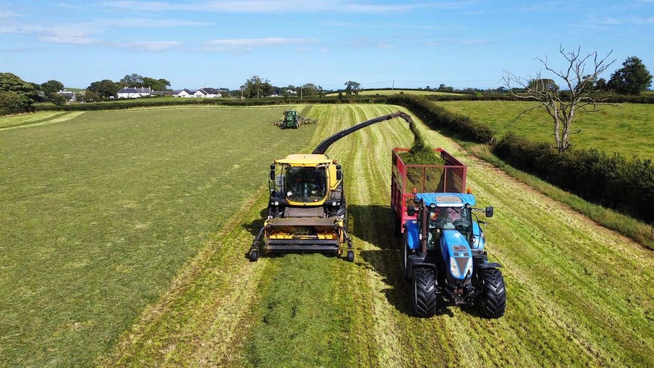 New Holland FR500 lifting 3rd Cut Grass Silage