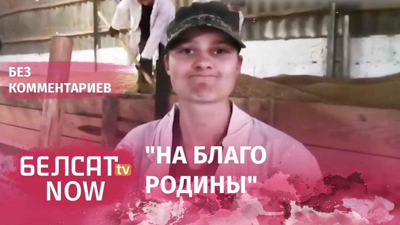Школьники-хозяйственники из Ельска с энтузиазмом перелопачивают зерно