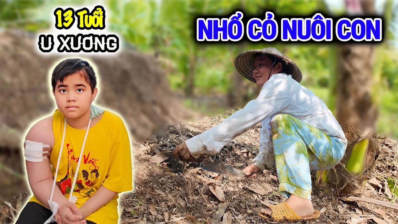 252. Mẹ nghèo nhổ cỏ mướn nuôi con ung thư xương 13 tuổi