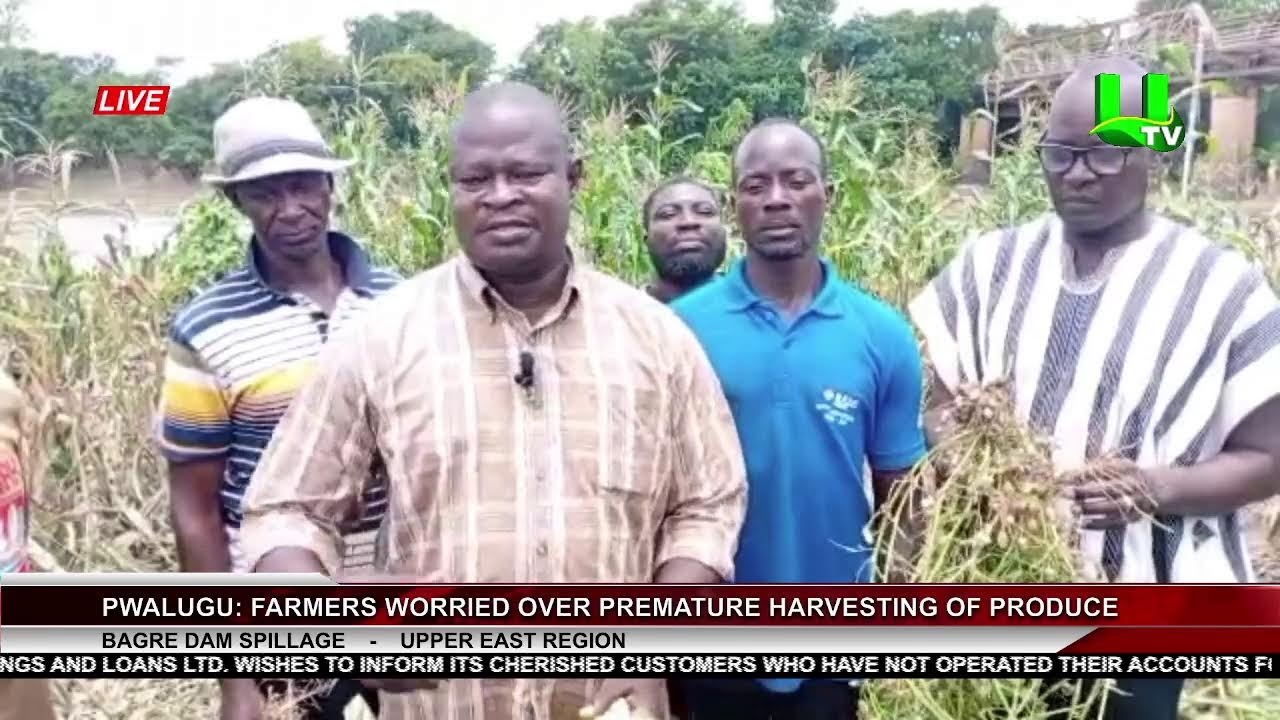 MIDDAY NEWS 05/09/25
