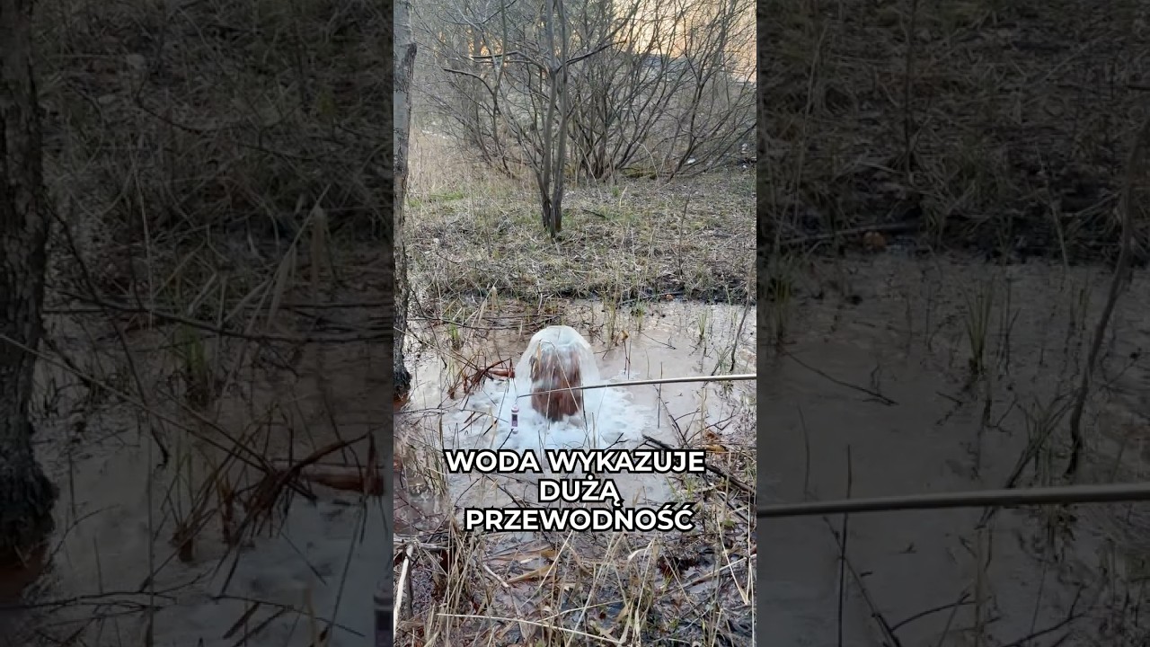 Kolejny gejzer w Polsce! #ciekawostki #przyroda #absurd #polska #sprawadlaprofesora