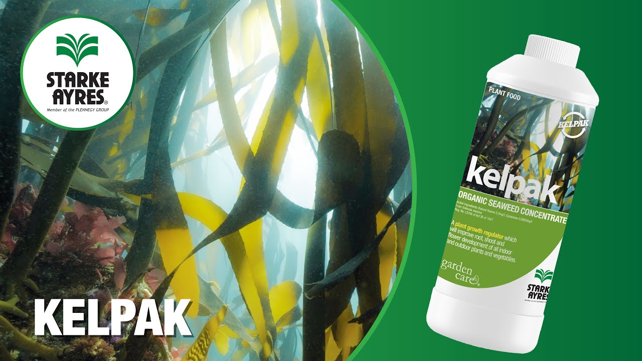 Starke Ayres Kelpak