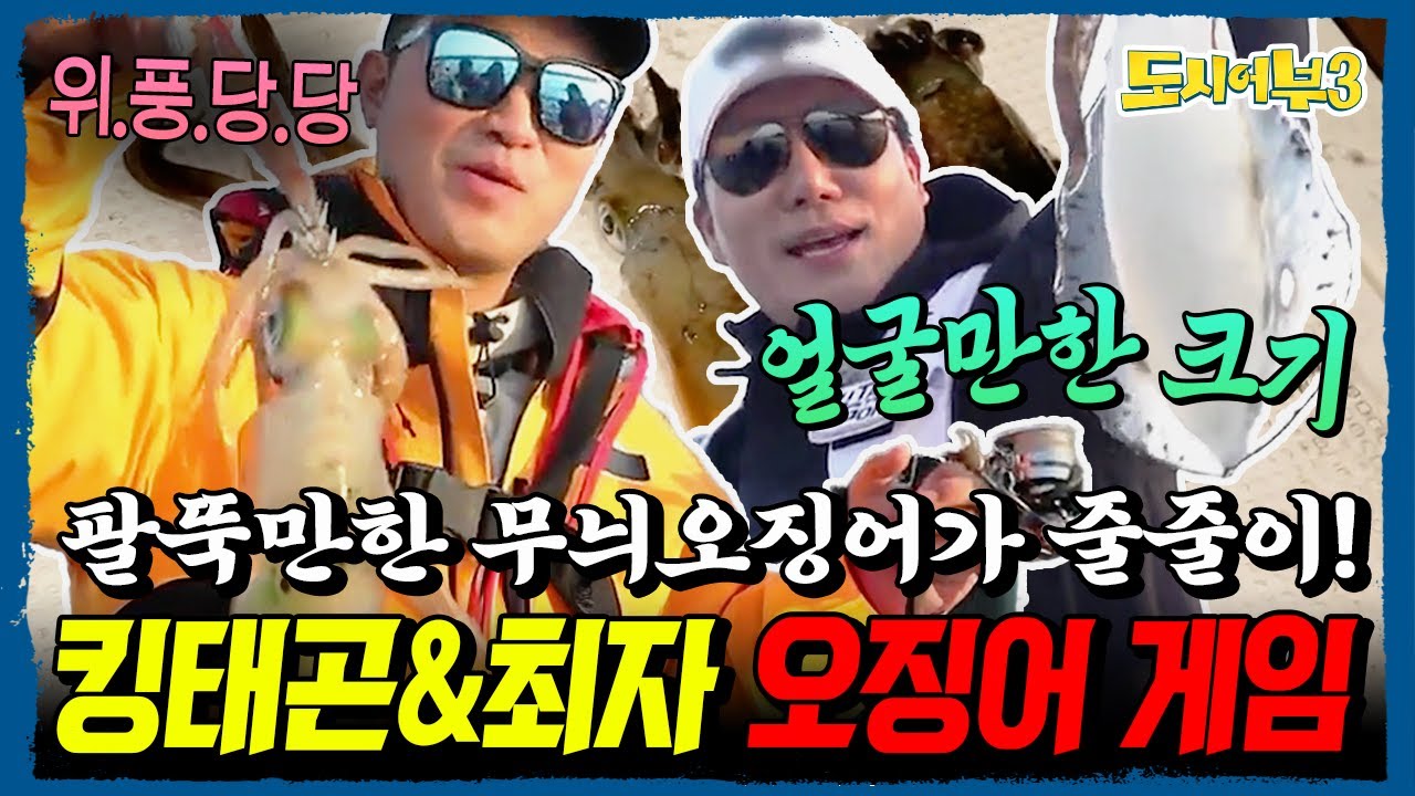 팔뚝만한 무늬오징어가 줄줄이~🦑 킹태곤&최자 주연의 오징어 게임 제대로 터졌다🎣  | 도시어부3 28회
