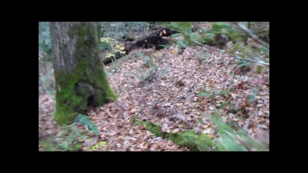 Proper Hiking Downhill/Uphill and Importance