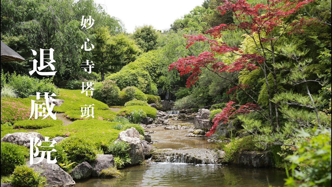 [京都観光] 妙心寺 塔頭「退蔵院」