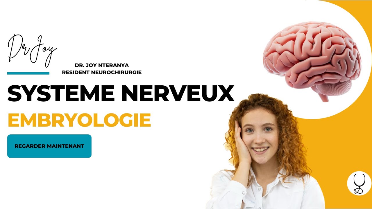 Embryologie du système nerveux en 5min