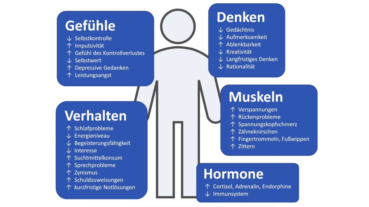Stress-Symptome (kurzfristige Folgen von Stress)