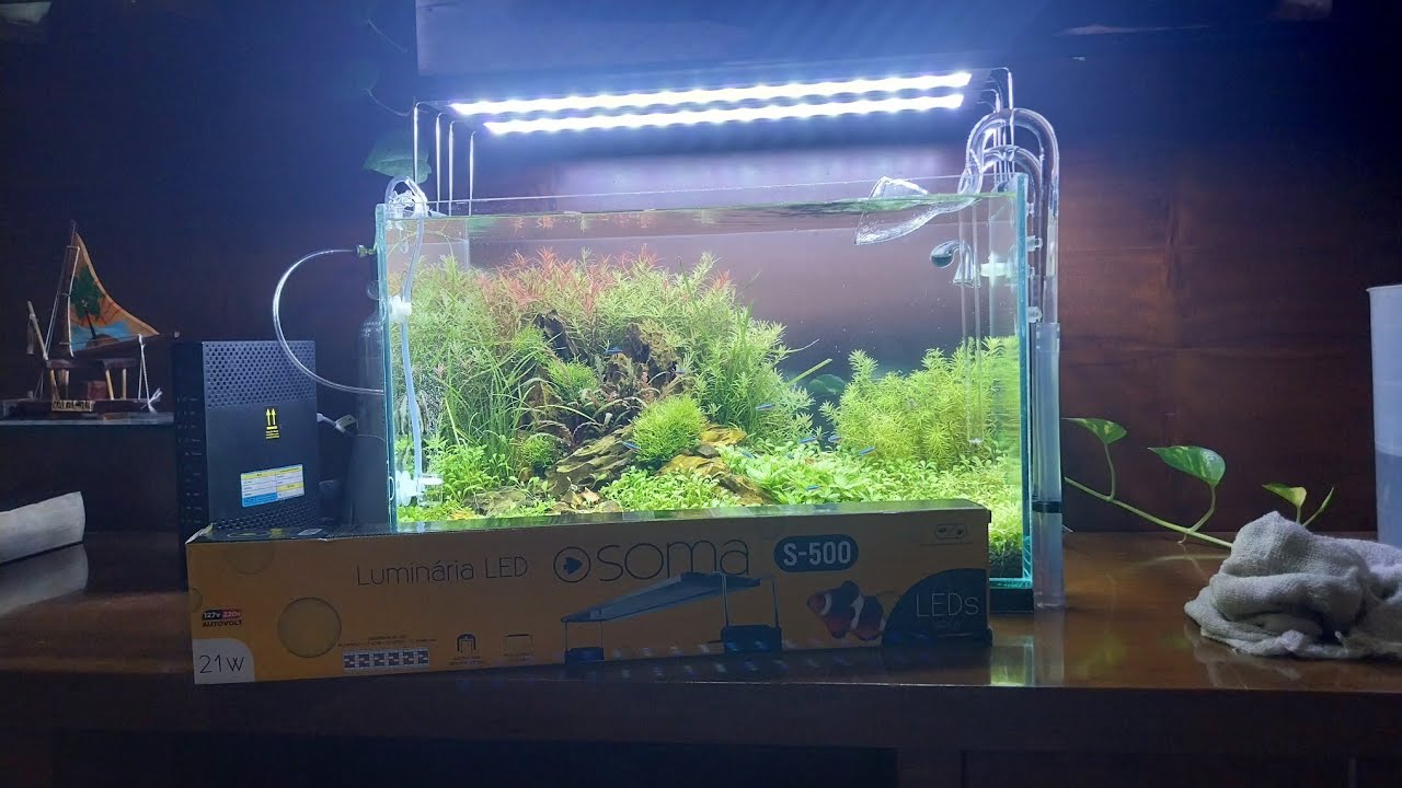 Luminária Soma S-500 tocando muito bem meu plantado de média demanda. #aquarioplantado