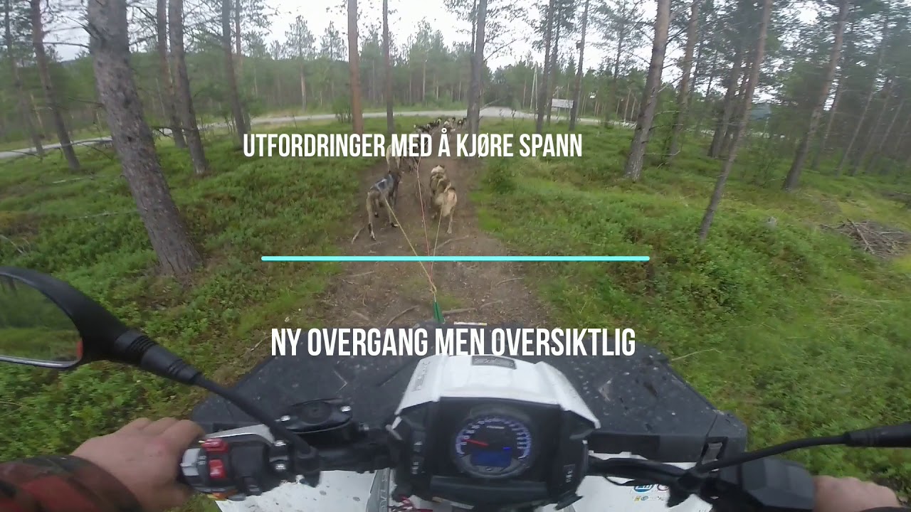 Utfordringer med Hundekjøring