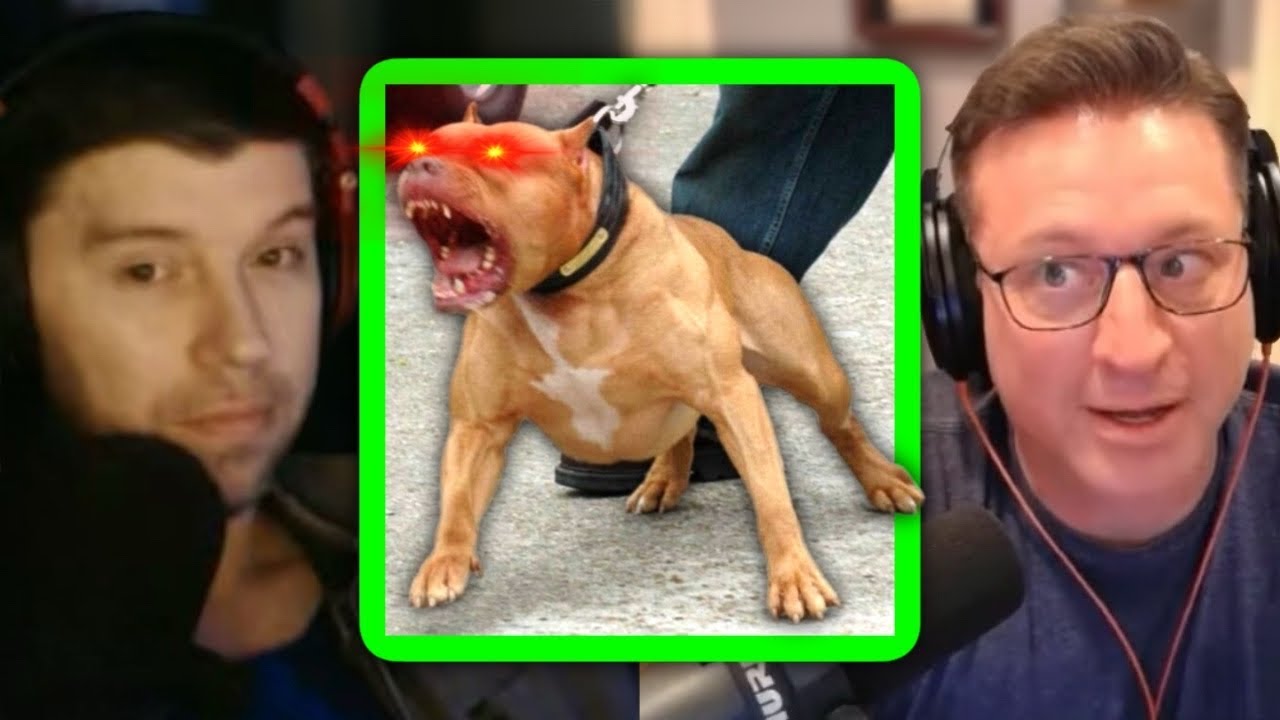 The Reality of Pit Bulls