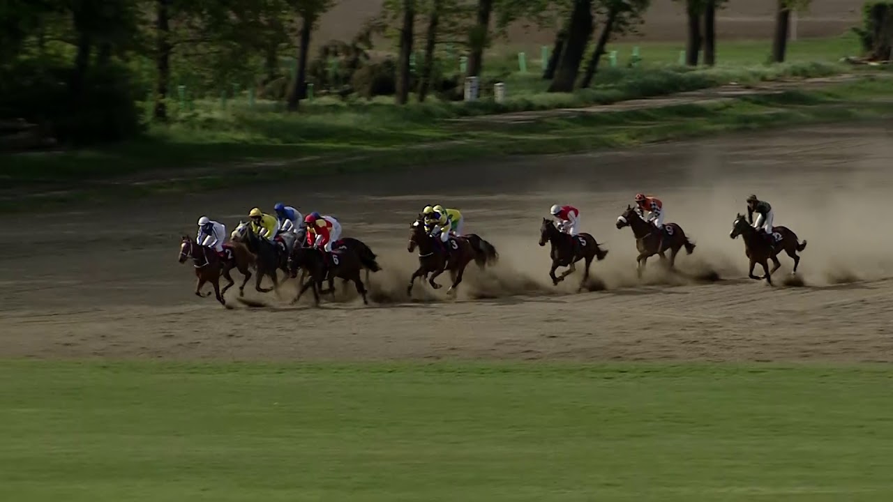 5. dostih - Cena města Pardubice / Úvodní Cross Country Koroka - dostihy Pardubice 8. 5. 2019