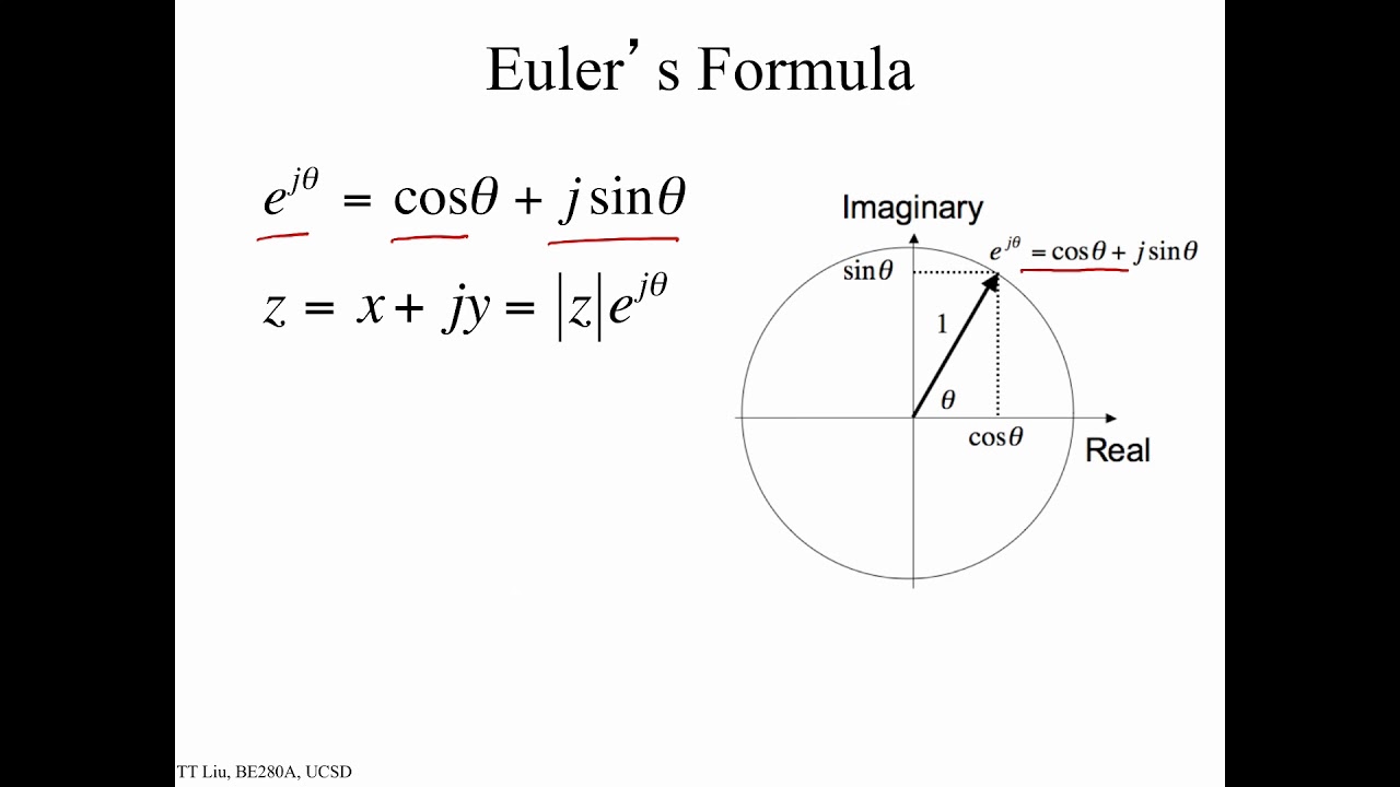 BE280A Fourier Transforms: 1D transform
