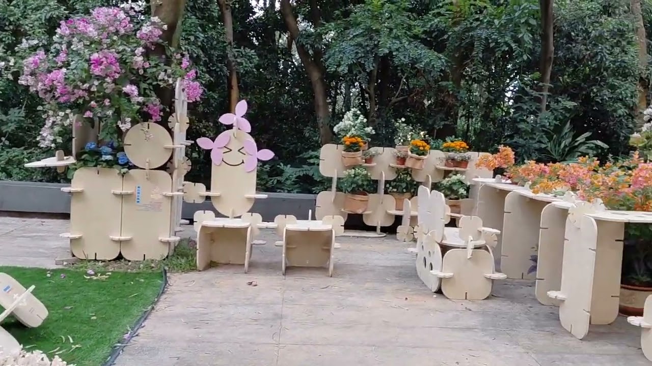 威仔一日遊 42 深圳福田 簕杜鵑花展 蓮花山公園 P1 10-11-2025 