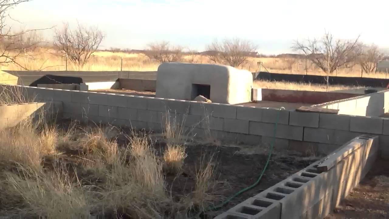 LARGEST TORTOISE BREEDING FACILITY. RICHARD FIFE