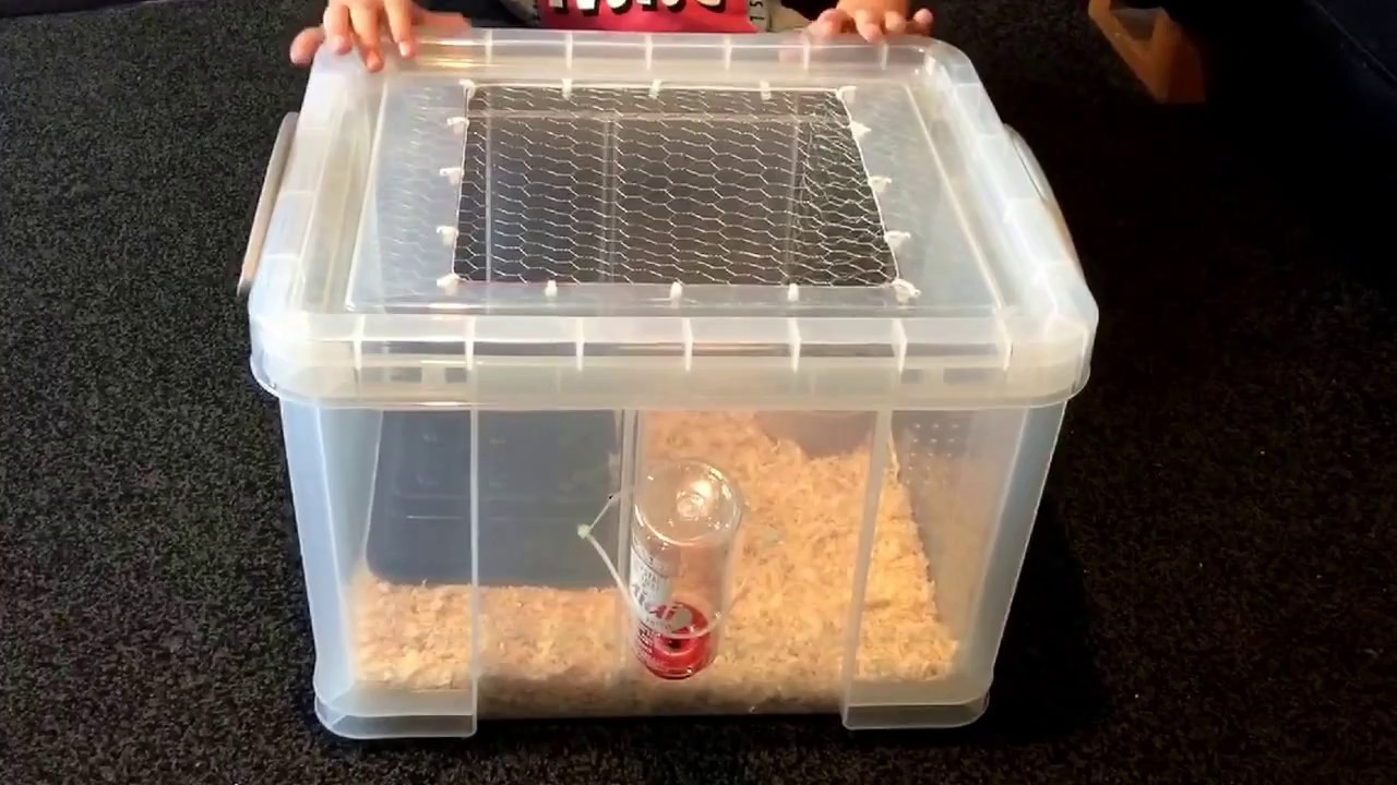 HOW TO BUILD A RODENT BREEDING BOX