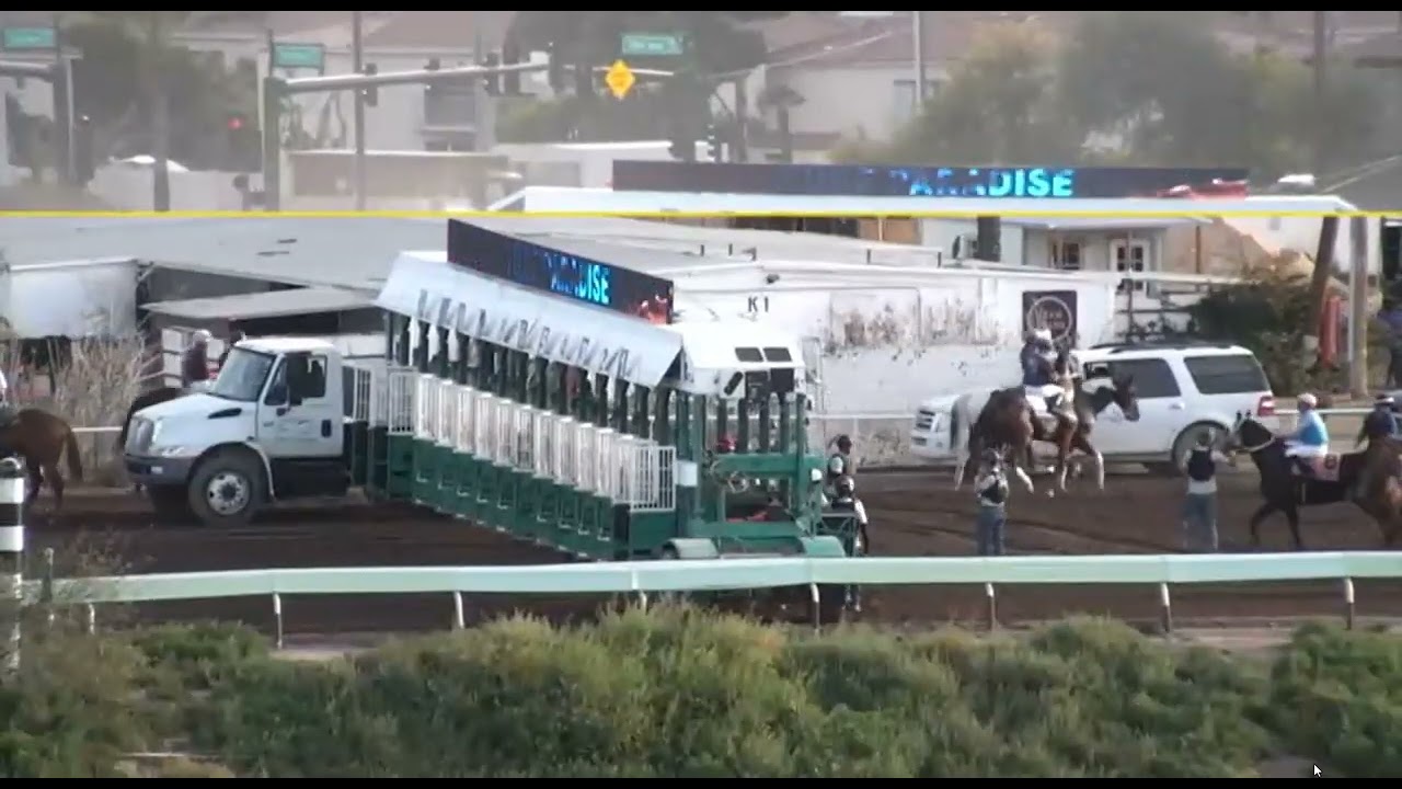 TURF PARADISE USA RACE 8 -  22 JAN 2026