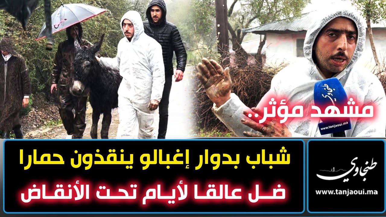 مشهد مؤثر.. شباب بدوار إغبالو (تنقوب/ شفشاون) ينقذون حمارا ضل عالقا لأيام تحت الأنقاض