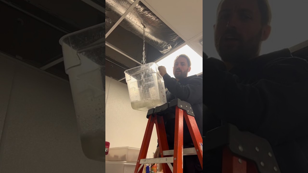 #flood #cleveland #plumbing #disaster #restoration #pro... #Shorts #chris_sbrocco