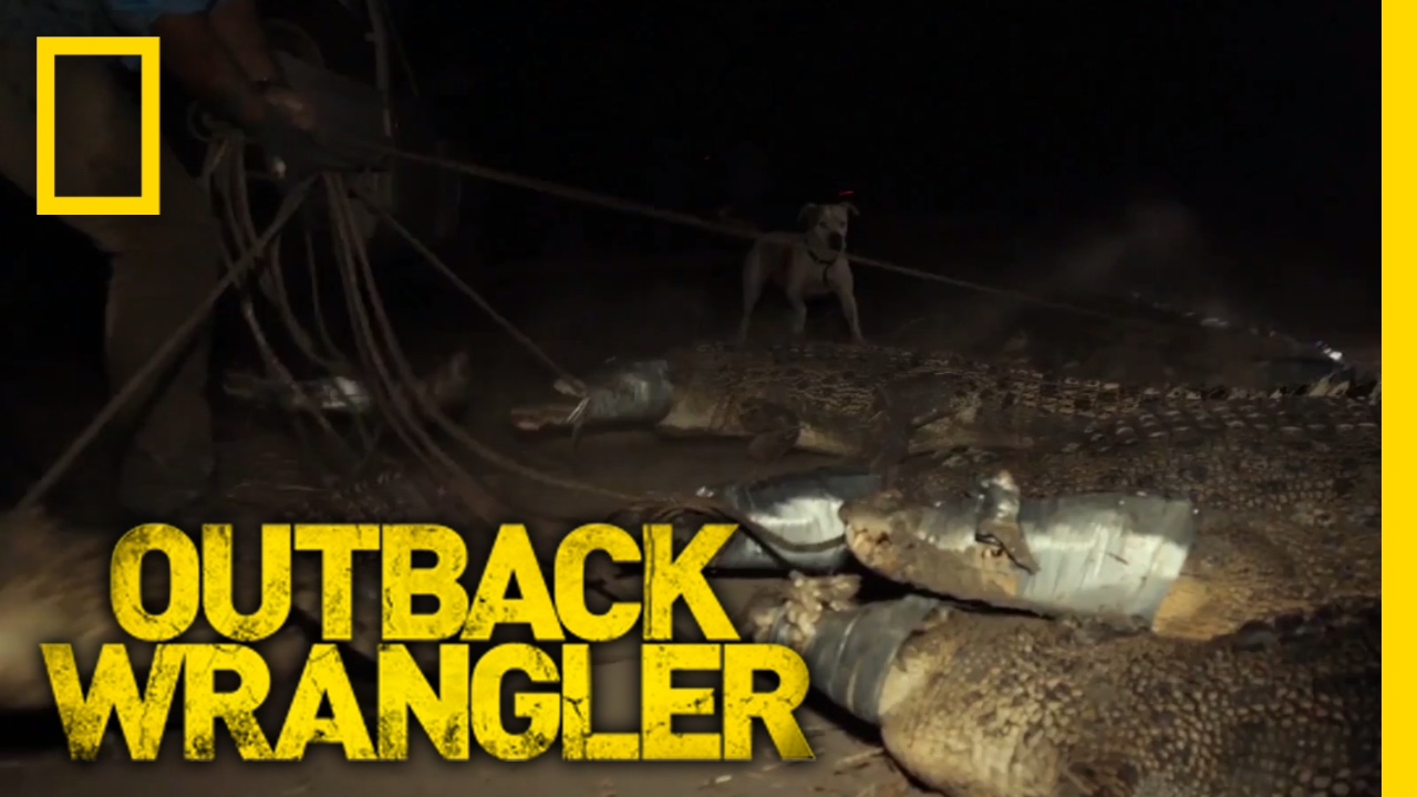 A River Full of Crocs | Outback Wrangler