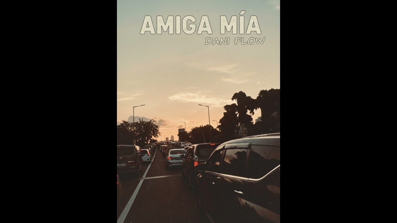 Amiga mis 