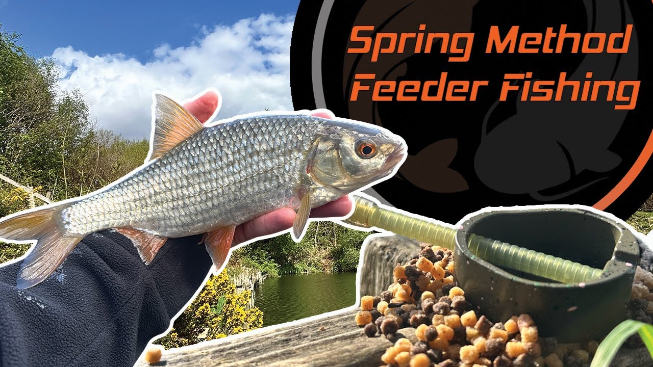 Spring Method Feeder Fishing | Gingham Fisheries
