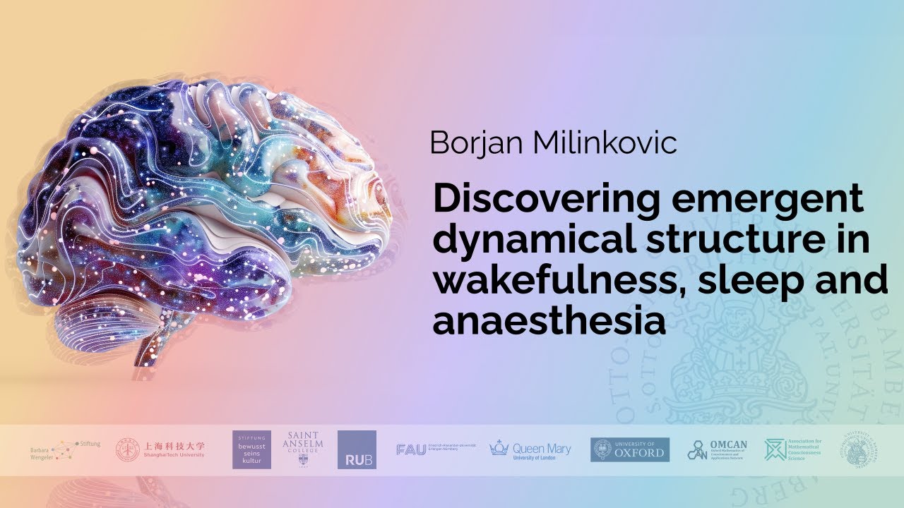 Borjan Milinkovic - Discovering emergent dynamical structure in wakefulness, sleep and anaesthesia