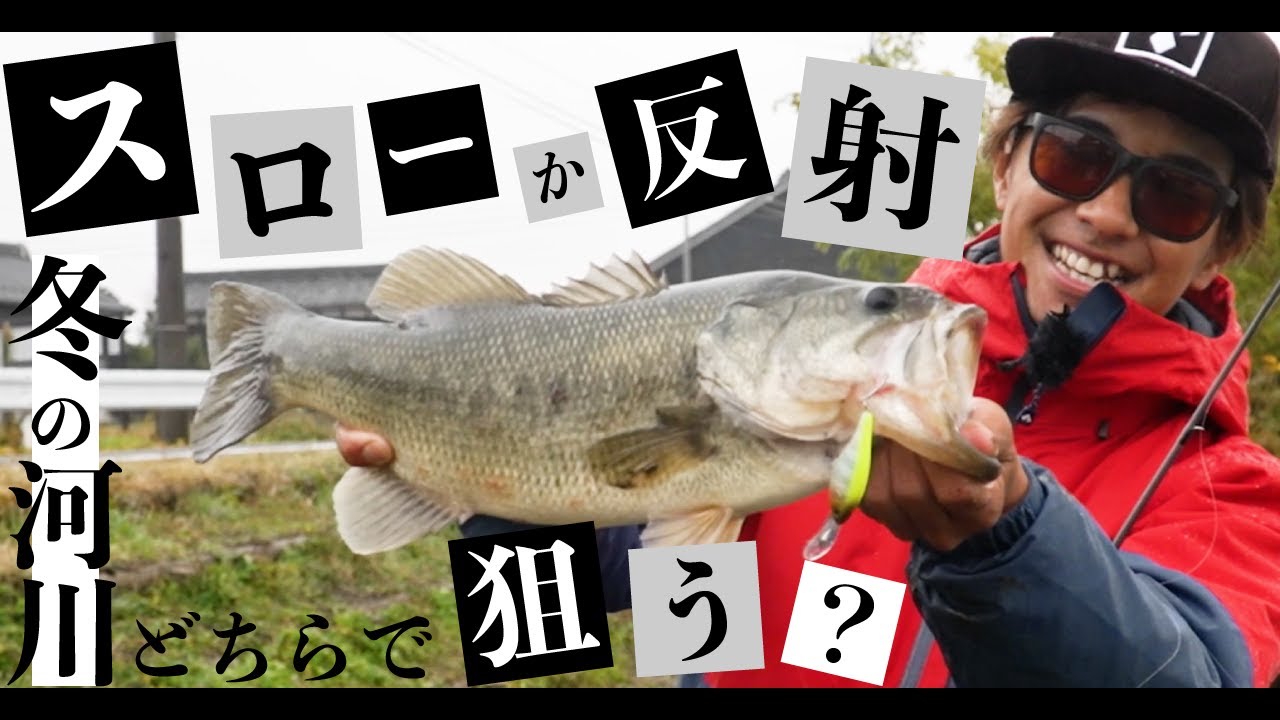【バス釣り】