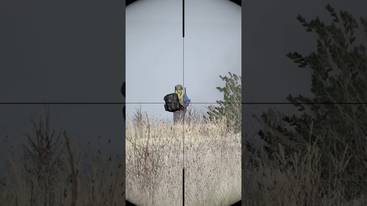 ПОЧТИ идеальная засада! #dayz